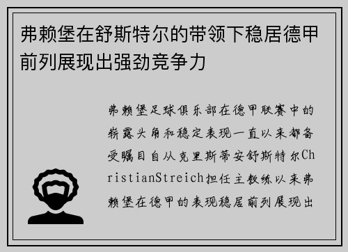 弗赖堡在舒斯特尔的带领下稳居德甲前列展现出强劲竞争力